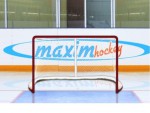 Имитатор - хоккейные ворота Т-770 - магазин СпортДоставка. Спортивные товары интернет магазин в Пятигорске 