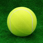 Мяч для большого тенниса самый дешёвый s-dostavka - магазин СпортДоставка. Спортивные товары интернет магазин в Пятигорске 